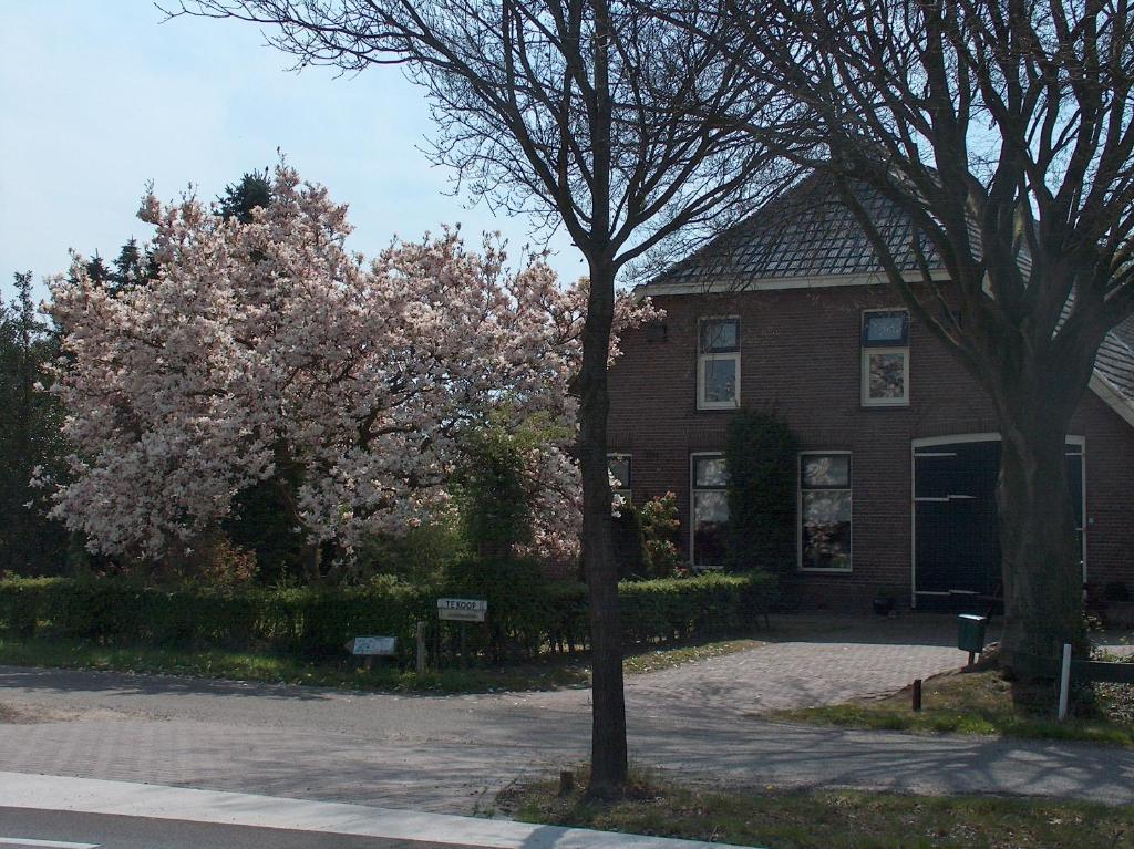 Molenvoort Bed & Breakfast Wachtum Luaran gambar