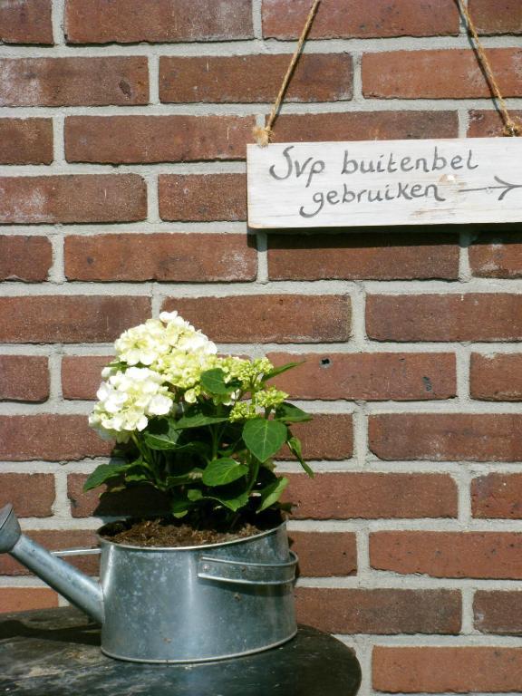 Molenvoort Bed & Breakfast Wachtum Luaran gambar