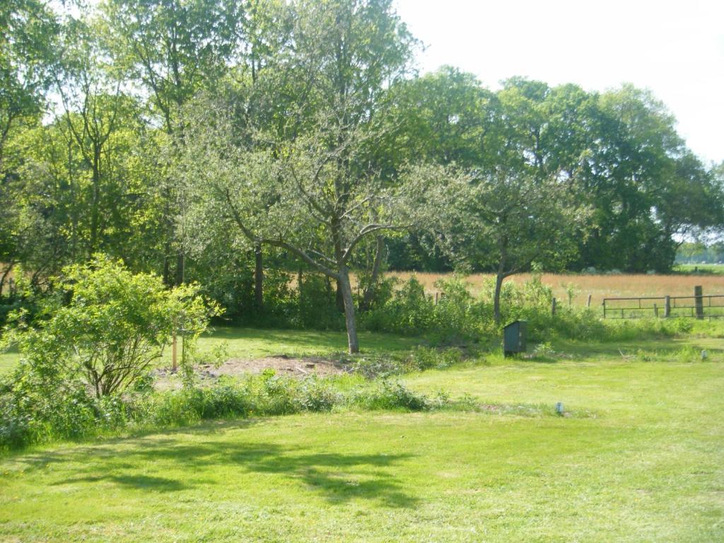 Molenvoort Bed & Breakfast Wachtum Luaran gambar