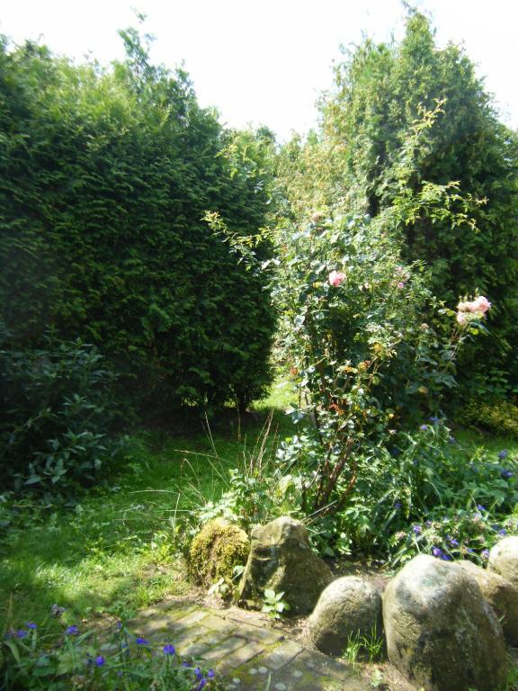 Molenvoort Bed & Breakfast Wachtum Luaran gambar